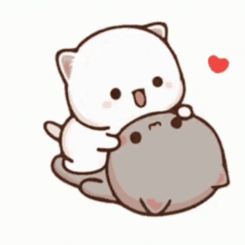 White Cat Laying on Gray Cat with Heart