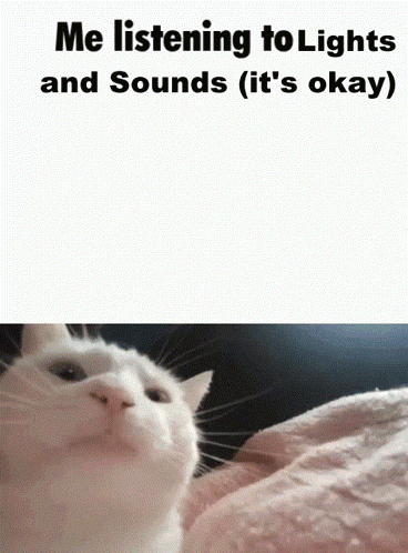 White Cat Listening to Lights and Sounds