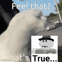 White Cat Looking Out Window Feel That True