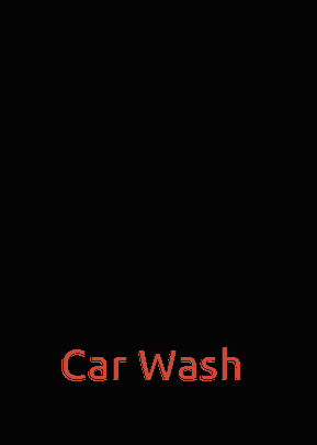 White Cat Lying on Black Cloth Car Wash