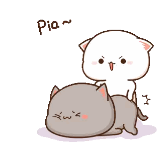 White Cat Lying on Gray Cat Pia