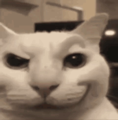 White Cat Making Funny Face With Mouth Open