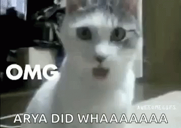White Cat Omg Arya Did Whaaaa