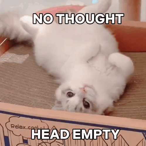 White Cat On Back No Thought Head Empty GIF