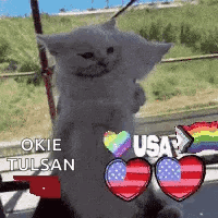 White Cat on Hind Legs with Rainbow Flag and Hearts