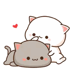 White Cat Petting Gray Cat