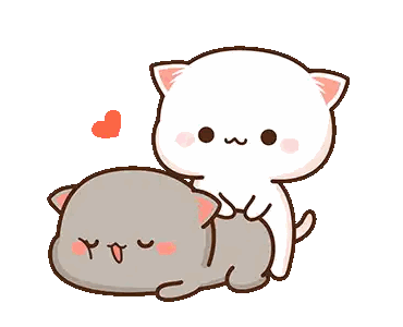 White Cat Petting Gray Cat