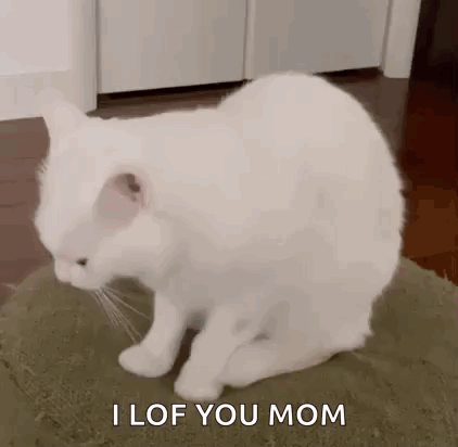 White Cat Saying I Love You Mom