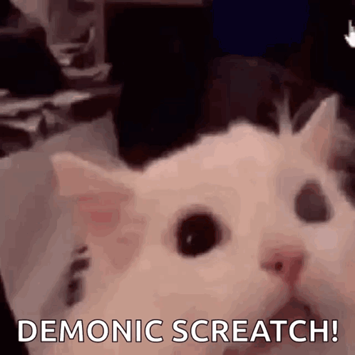 Screaming Meme GIFs GIFDB