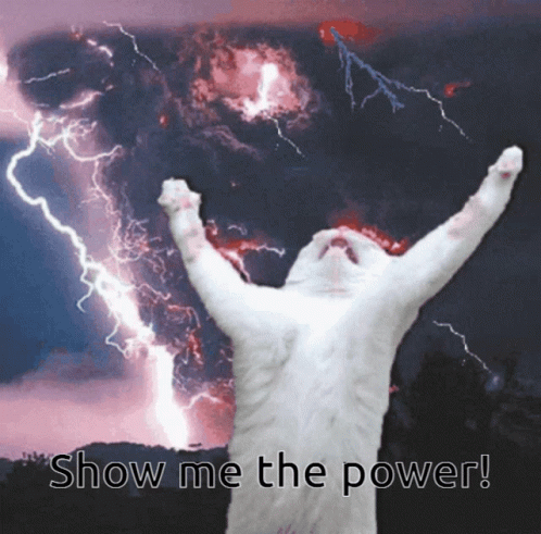 White Cat Showing Power