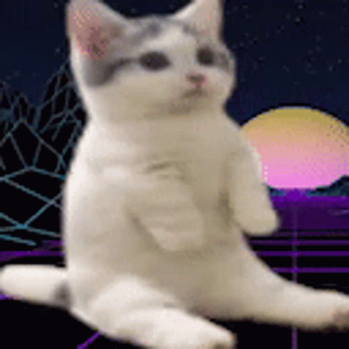 White Cat Sitting Front of Purple Pink Background
