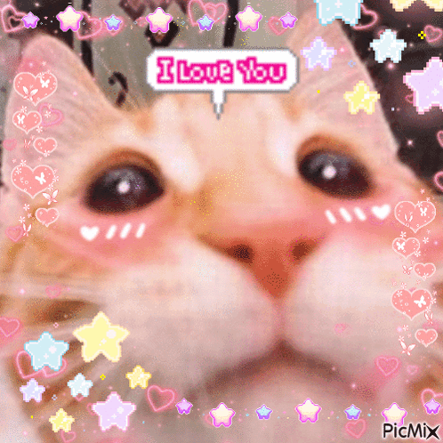 White Cat Sitting on Couch Saying I Love You