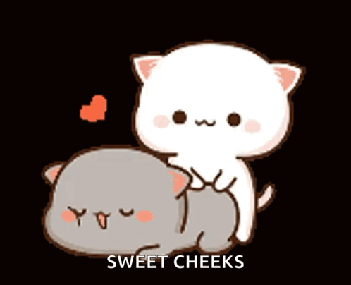 White Cat Sitting On Gray Cat Sweet Cheeks GIF