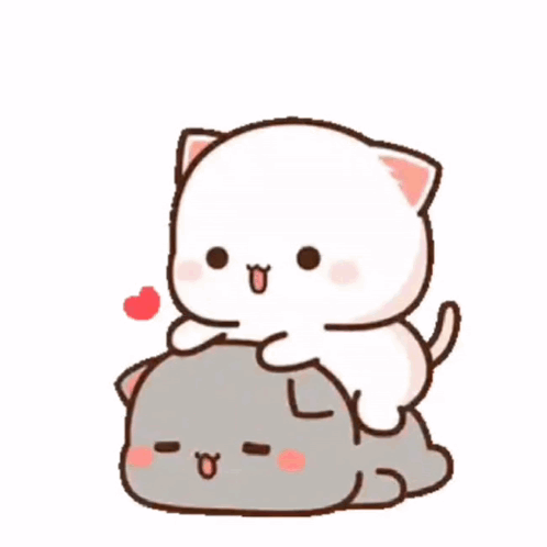 White Cat Sitting on Gray Cat