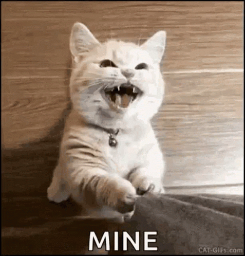 White Cat Sitting with Open Mouth Mine