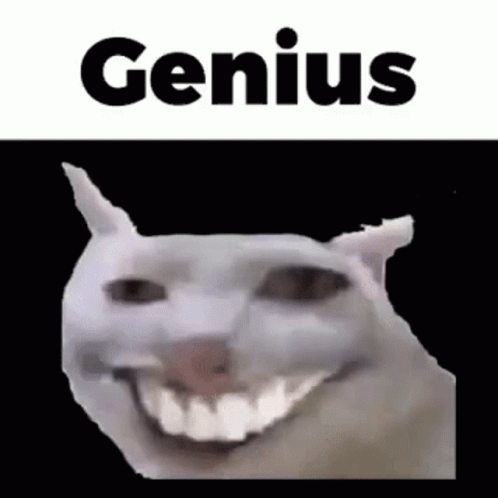 White Cat Smiling With Genius GIF