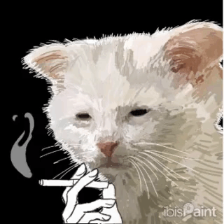 White Cat Smoking Cigarette Ibis Paint GIF