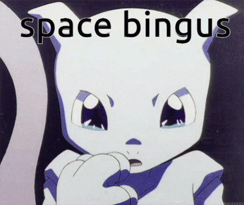 White Cat Space Bingus