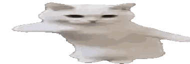 White Cat Standing with Arms Out