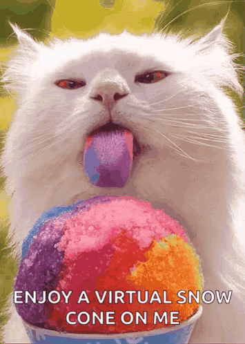 White Cat Sticking Tongue Out Eating Snow Cone