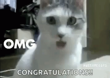 White Cat Surprised Saying Congratulations GIF