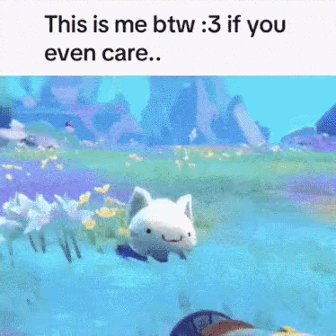 White Cat Swimming This Is Me Btw :3 If You Even Care