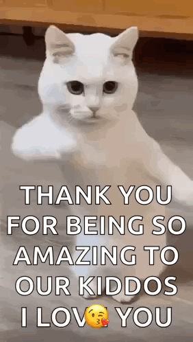 White Cat Thanking Our Amazing Kiddos GIF
