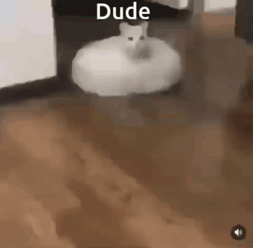 White Cat Vacuum Operating GIF
