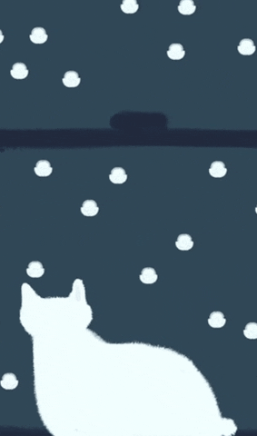 White Cat Watching Snow GIF