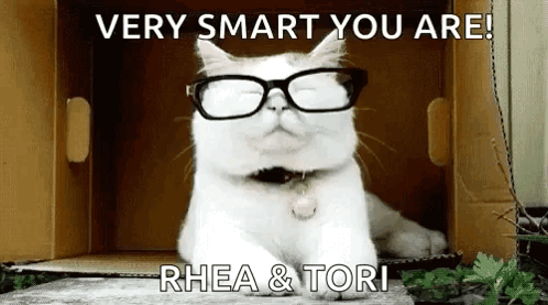 White Cat Wearing Glasses in Cardboard Box