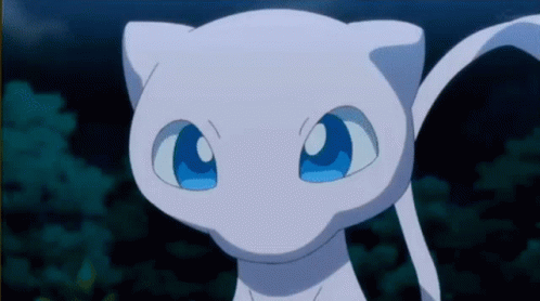 White Cat With Blue Eyes Looking at Camera