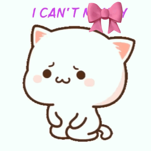 White Cat with Pink Bow and I Can't