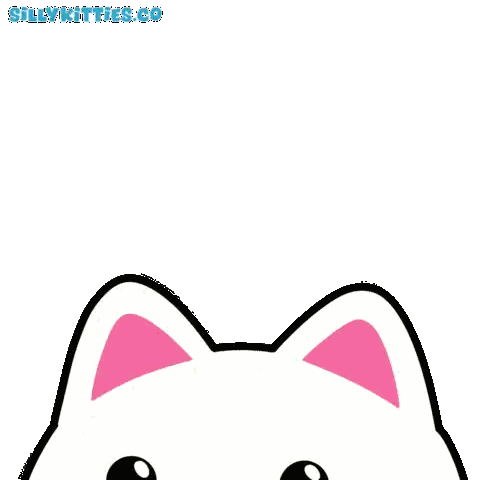 White Cat with Pink Ears and Sillykitties.co