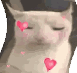 White Cat with Pink Hearts in Eyes