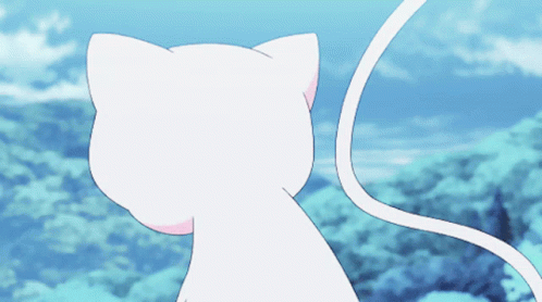 White Cat With Pink Nose Looking at Sky
