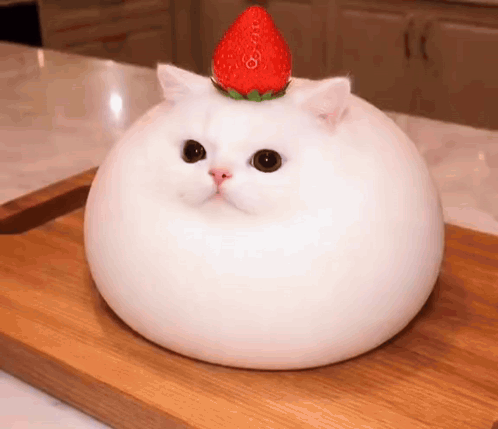 White Cat With Strawberry on Head on Cutting Board