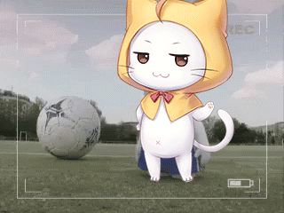 White Cat With Yellow Hood and Soccer Ball