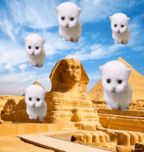 White Cats Flying Over Sphinx Near Pyramid
