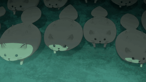 White Cats Lined Up GIF