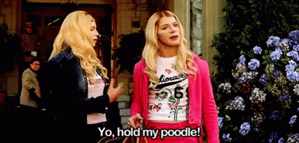 White Chicks Angry Shawn Wayans Hold My Poodle GIF