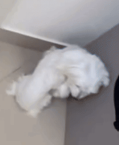 White Cotton Wool Hanging From Ceiling