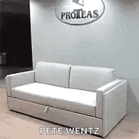 White Couch in Front of Wall Saying Proteas