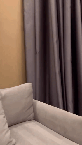 White Couch In Front Of Window GIF