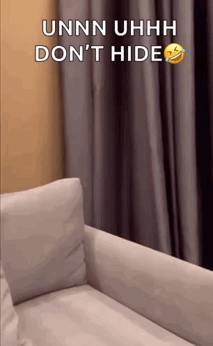 White Couch With Unnn Uhhh Don't Hide GIF
