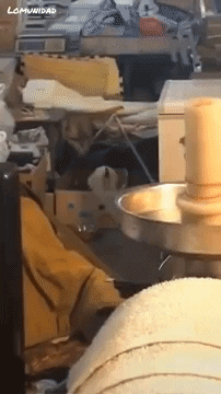 White Dog Headbanging GIF