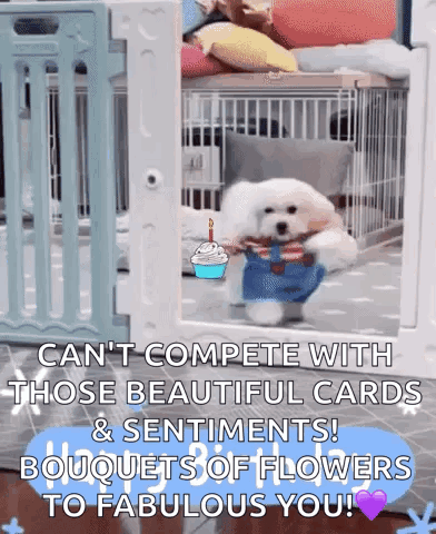 White Dog in Cage Holding Birthday Cake and Flowers