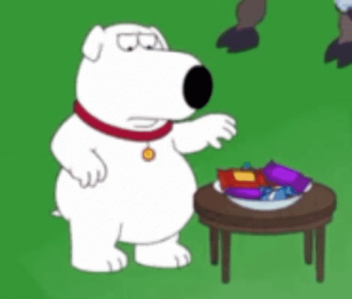 White Dog In Front Of Cabinet GIF