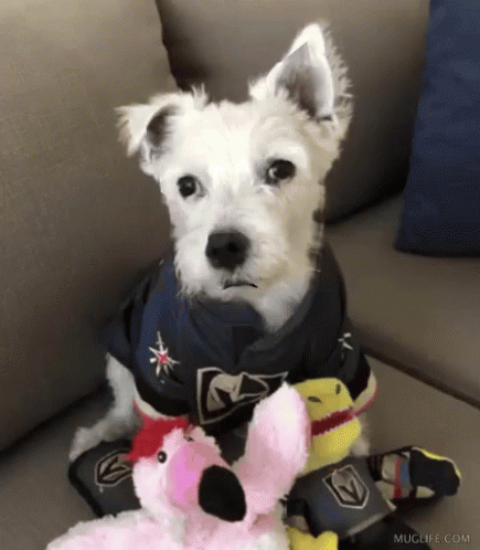 White Dog on Couch with Flamingo