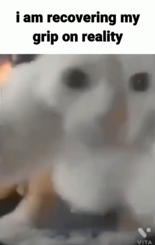 White Dog Recovering Grip on Reality