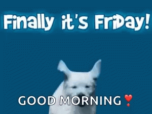 White Dog Running Finally It's Friday Good Morning GIF